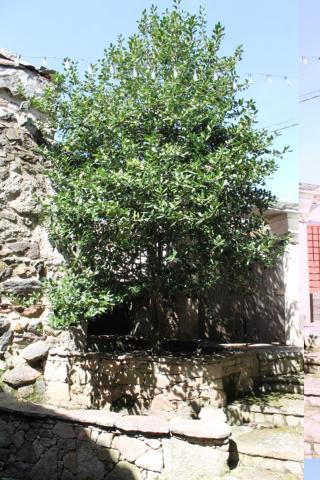 Cabachuelas I Casas Rurales 산미구엘데발레로 외부 사진